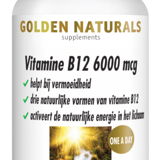 Vitamine B12 6000 mcg (60 veganistische zuigtabletten)