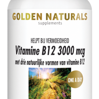 Vitamine B12 3000 mcg (60 veganistische zuigtabletten)