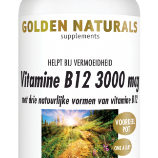 Vitamine B12 3000 mcg (180 veganistische zuigtabletten)