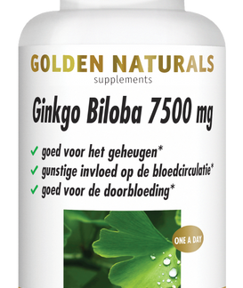Ginkgo Biloba 7500 mg (60 veganistische capsules)