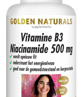 Vitamine B3 Niacinamide 500 mg (120 veganistische capsules)